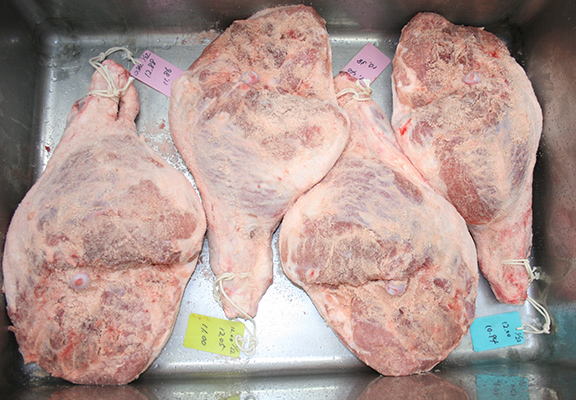 プロシュート試作品