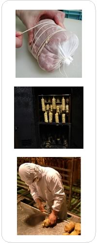 無塩せき『布巻きロースハム』